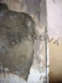 /album/pc-grafika/kotanova-jpeg-kopie-jpg/
